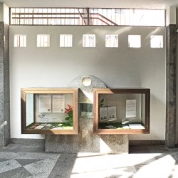 Tinteggiatura Galleria Walther